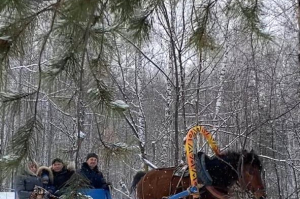 Катания на санях в Новосибирске