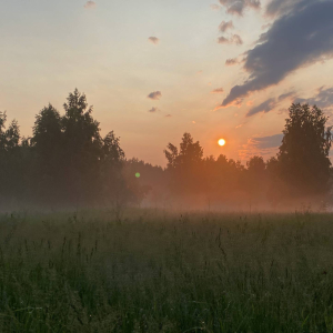 Невероятной красы прогулки на лошади 
