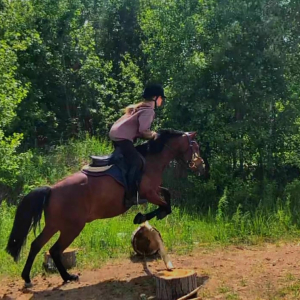 Иповерция с лошадьми