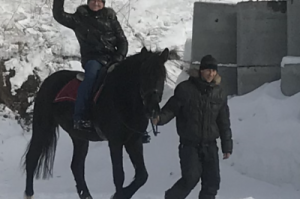 Говорящая лошадь в клубе "Бартель"