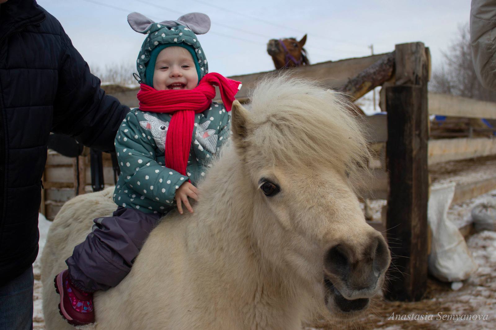 Адаптация детей к животным в Новосибирске