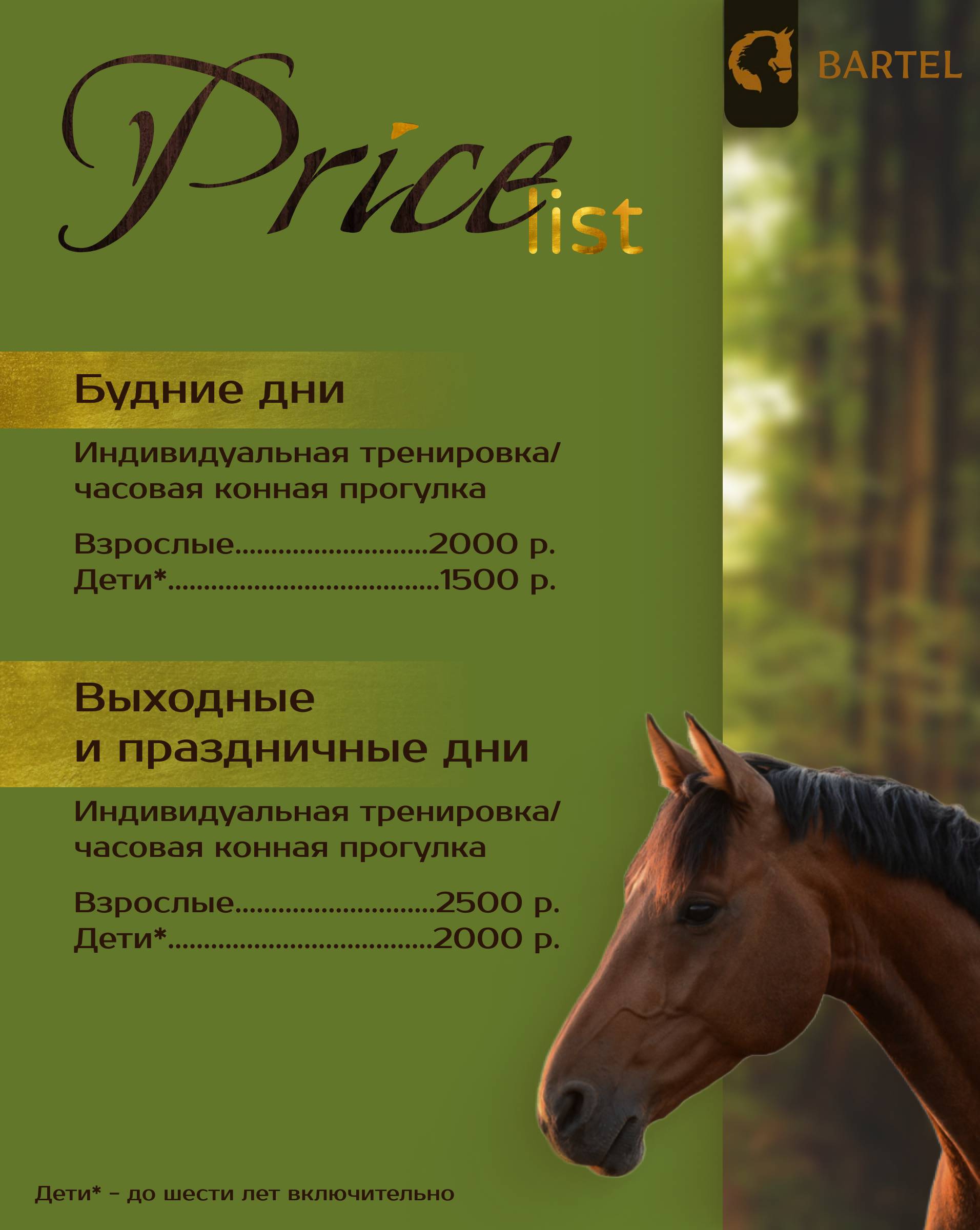 Конные прогулки в Новосибирске