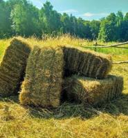Купить сено в Новосибирске